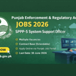 Punjab PERA Jobs 2026